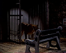 Manimal01x01-635.jpg