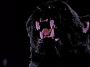 Manimal01x03-156.jpg