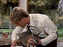 Filename=Manimal01x03-217.jpg
Filesize=228KiB
Dimensions=720x540
Date added=Jan 14, 2018 Manimal01x03-217.jpg